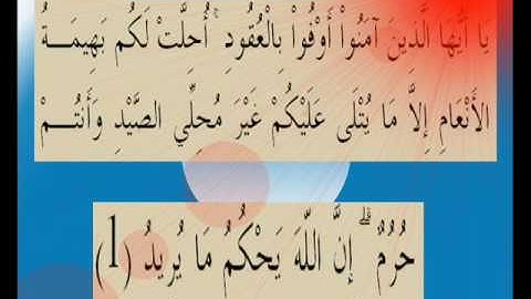 القران الكريم سورة المائدة الأية 1.wmv