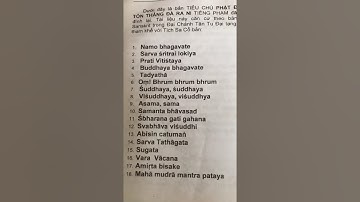 Nam mô Ngọc hoàng thượng đế vô cực đại trí tôn đại thiên tôn nam mô a di đà phật chánh đạo 
