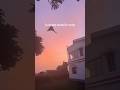 Not every visitor stays.. some jus remind you to fly🤎#viral #trending #peacock #sunset #goldenhour