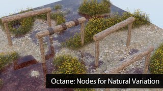 Octane: Nodes for Natural Variation
