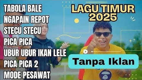 LAGU TIMUR 2025 | TABOLA BALE -Juan REZA | NGAPAIN REPOT | STECU STECU | VIRAL TIKTOK | TANPA IKLAN