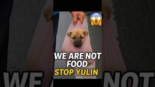 Why Yulin Dog Festival Needs to End (Again) #short #youtube #ytshorts #india