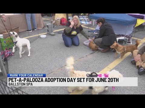 Capital Region pets gear up for Pet-a-Palooza adoption day