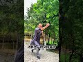 獨有的少林初級拳法，少林十三拳#kungfu #shaolin #shorts