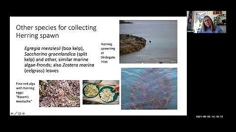 Seaweed Days 2021 - Speaker Series - Nancy Turner #7