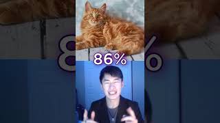 Celebrity Best Types of CATS to EAT: A Tier List Profile