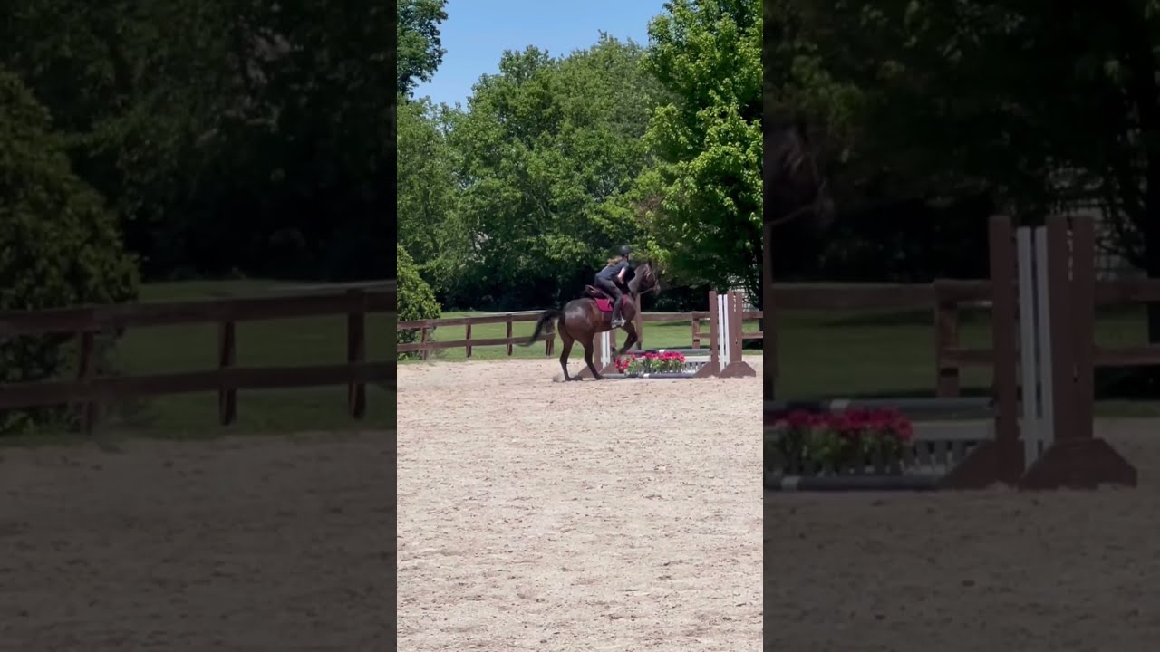 I Couldn T Decide Which Video Wanted With This Audio So Made Both 