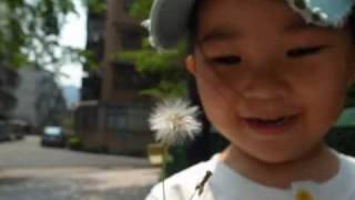 20100422_01.wmv
