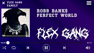 Robb Bank$ - PERFECT WORLD