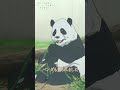 お兄ちゃんの妹になれてかえでは幸せです｜アニメ『青春ブタ野郎はバニーガール先輩の夢を見ない』第13話｜#青ブタ #石川界人 #久保ユリカ #アニメ #anime