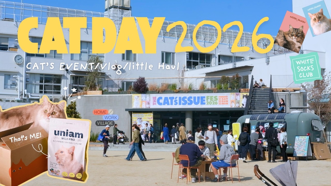 猫の日vlog/購入品紹介/CAT DAY/haul