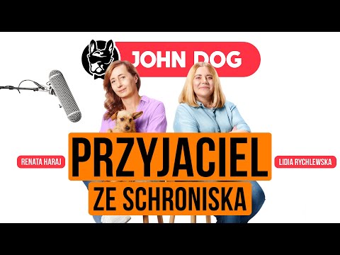 Wideo: 7 Wskazówek, Jak Znaleźć Psa Ze Schroniska