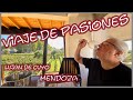 Un viaje de pasiones🌞🍷 Lujan de Cuyo, Mendoza✔