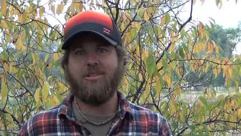 Fruit Trees, Fungi and the Future of Farming