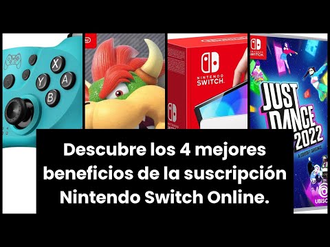 Descubre los 4