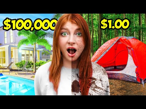 $1 VS $100,000 Vacation Challenge!