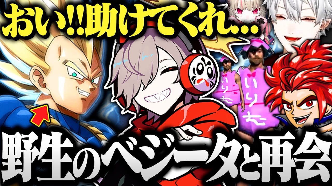 【RUST】だるまに食中毒でトドメを刺される野生のベジータにツボりまくるだるまが面白すぎたｗｗｗ【切り抜き だるまいずごっど RUST ストリーマーサーバー】