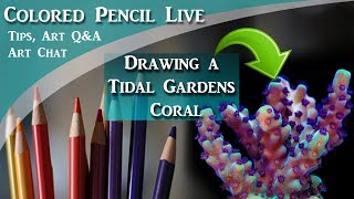 ⁣Drawing a Tidal Gardens Coral in Colored Pencil LIVE - Lachri