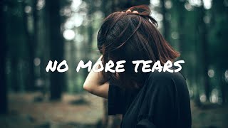 Sonic Journey - No More Tears (Lyric Video)