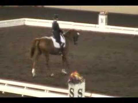 LARISA & CYNTHIA COLLINS, FEI Freestyle, Del Mar 2...