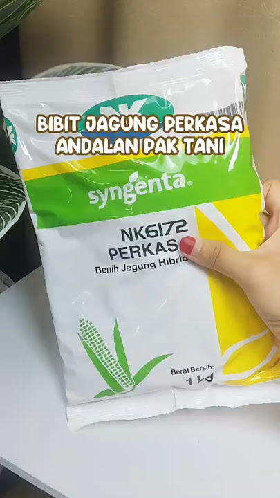 BIBIT JAGUNG PERKASA. Link di bio no : 22 #racunshopee #bibitjagung #bibitjagungperkasa
