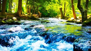 4k Beautiful Turquoise River Calming Nature Sounds. Fast Turquoise Carpathian Mountain River Sounds
