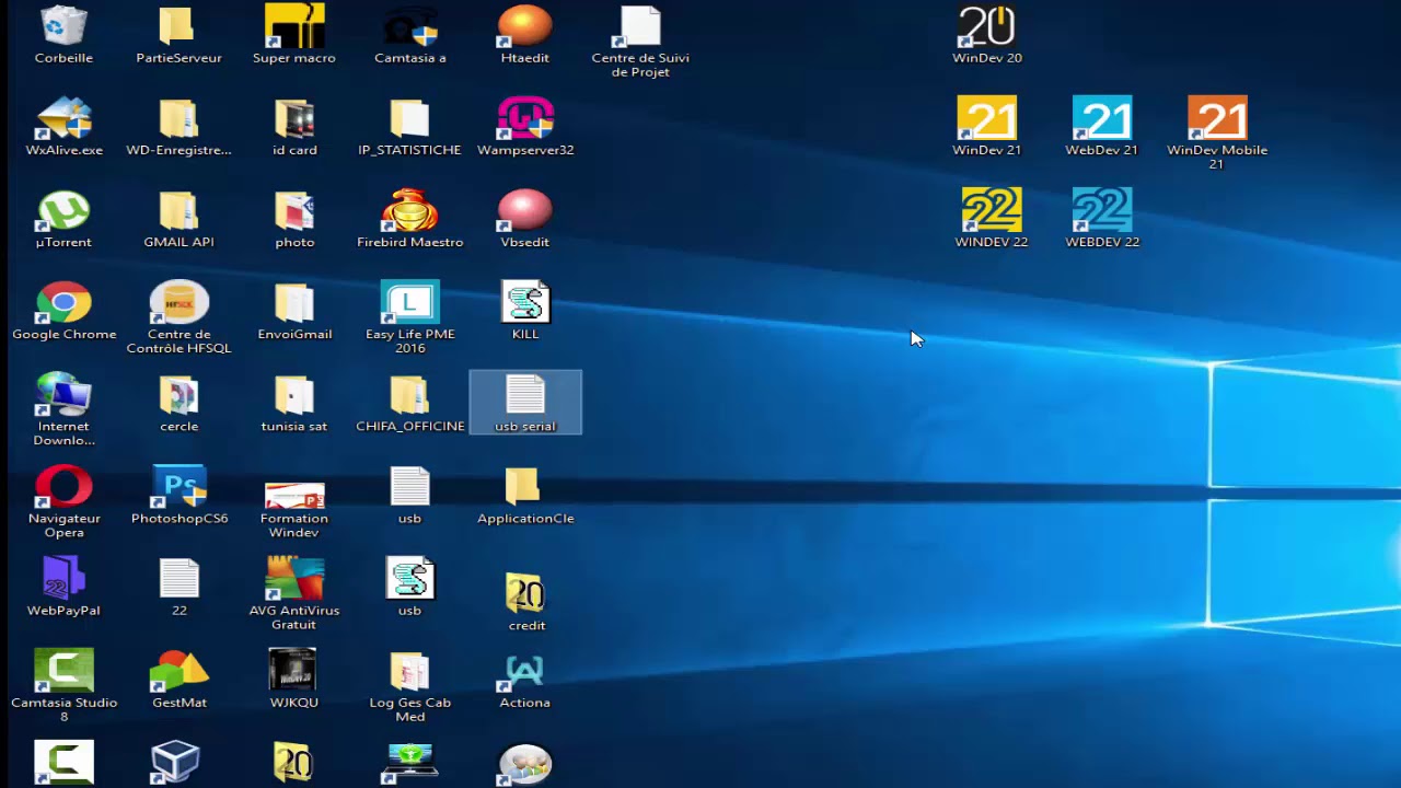 cle usb proteger un logiciel avec windev