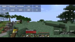 mod morph pojav launcher screenshot 4