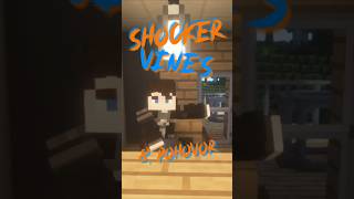 SHOCKER VINE'S | 8# | Pohovor | #minecraft #funny #cz