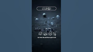 "ومن آياته أنك ترى الأرض خاشعة ثم إذا أنزلنا عليها الماء اهتزت وربت 🌧"