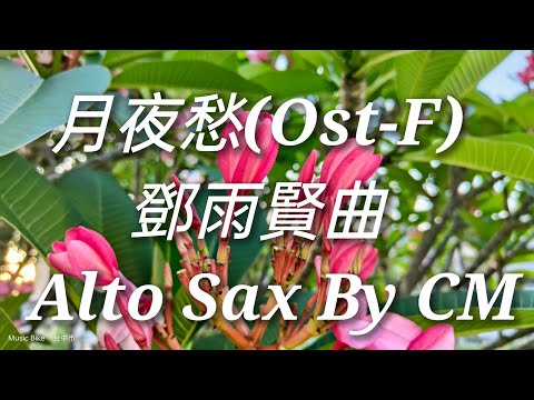 月夜愁二重奏-鄧雨賢曲 Ost-F Alto Sax By CM界民薩克斯風