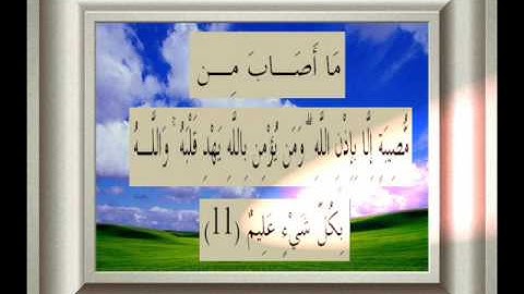 القران الكريم سورة التغابن الأية 11.wmv