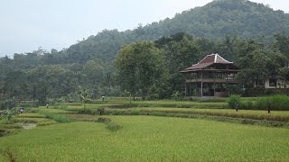 Komunikasi intensif atasi masalah otoritas kewenangan tahura Bunder Jogyakarta