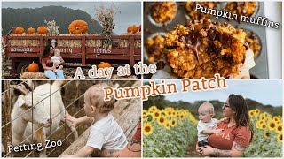 A Cozy Fall Weekend VLOG! | a trip to the pumpkin patch, fall baking, the cutest toddler content