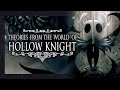 5 hollow knight mysteries  a few potential solutions  hollow knight theory