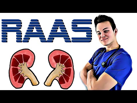 RAAS ERKLÄRT! Renin Angiotensin Aldosteron System