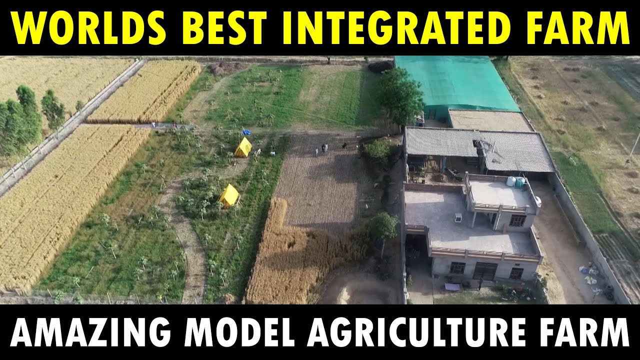 Best Integrated Farm in the World Amazing Integrated