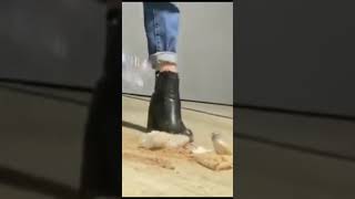 Waste Water Bottle Crushing With My High Heel Boots Part -1