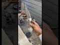شوف للاخير راح تنصدم شوف للاخير راح تنصدم