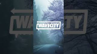 ANTXRES - anymore @wavecitylife