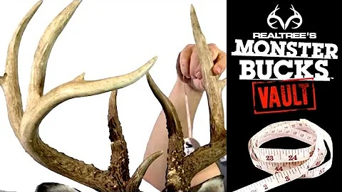 Monster Bucks Vault | Ep. 13 | Michael Waddell's I...