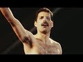 What The Final Year Of Freddie Mercury's Life Was Really Like