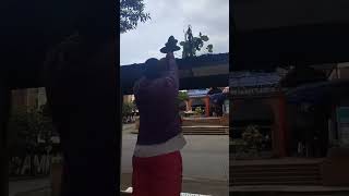 lo que me encontré en mi ciudad de cali #cali #plantas #planeta #colombia #latinoamerica