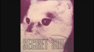 Secret Shine - Into the Ether