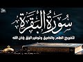 سورة البقرة كاملة لحفظ وتحصين المنزل وجلب البركة تلاوة رائعة  