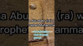 #roza nabi saww ka #model #room of hazrat Aysha RA#allah #love Nabi saww #qabar #duet #status #duet