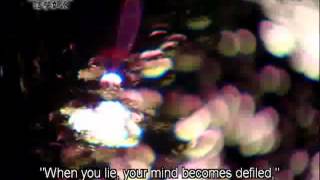 20120504《靜思晨語。法譬如水》懺悔功德深 480p