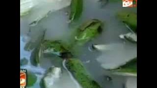 kerupuk kulit pisang