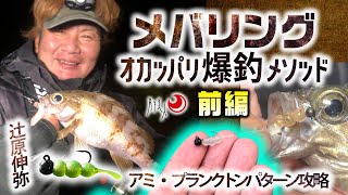 メバリング・オカッパリ爆釣メソッド前編～辻原伸弥～アミ・プランクトンパターン攻略