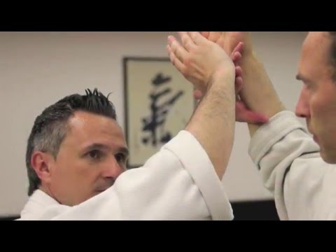Les sélections techniques Aikido de Michel Erb Sensei Part 14